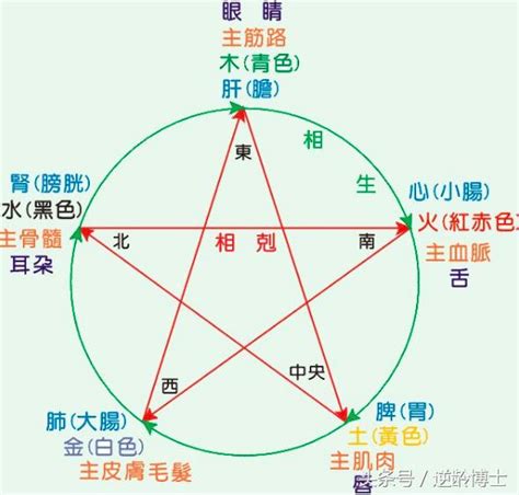 怎麼找自己屬性|五行屬性指南：深入了解你的五行屬性